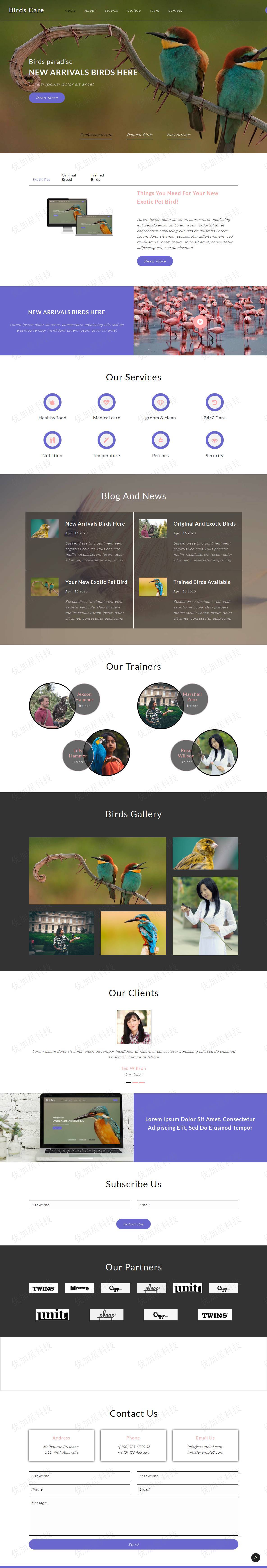 专业鸟类百科HTML网站模板_优加星网络科技