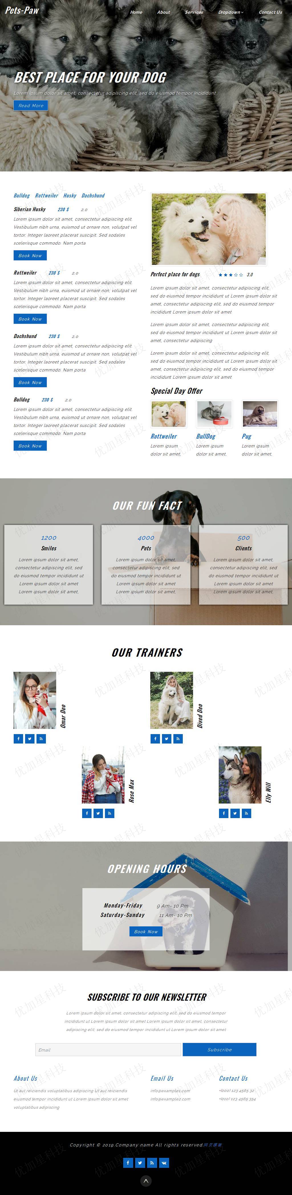 关于宠物狗销售网站模板下载_优加星网络科技