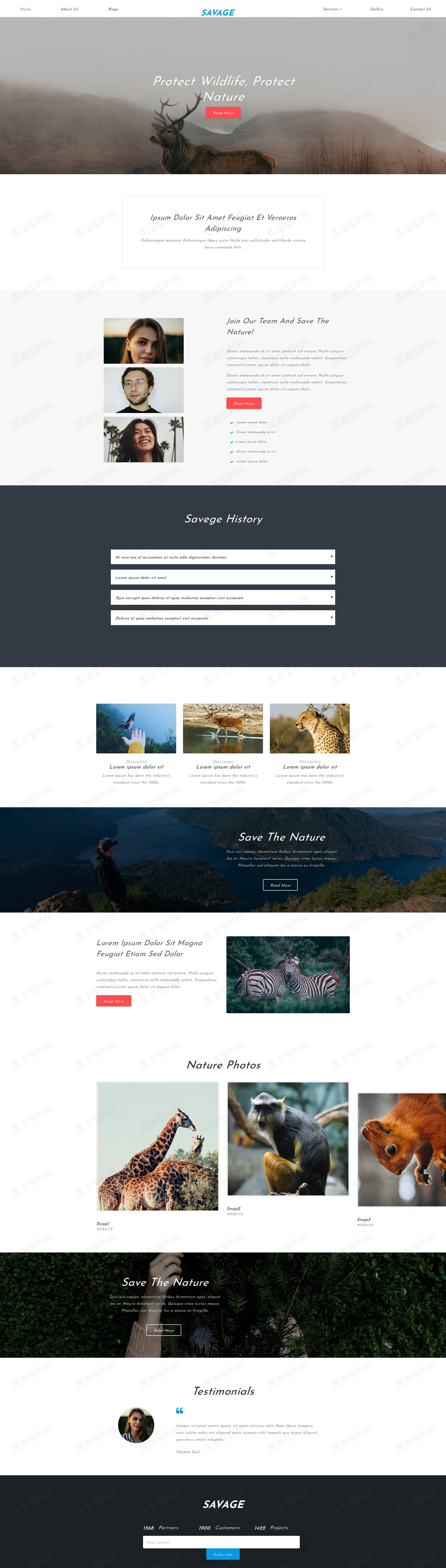 保护野生动物响应式网站模板下载_优加星网络科技