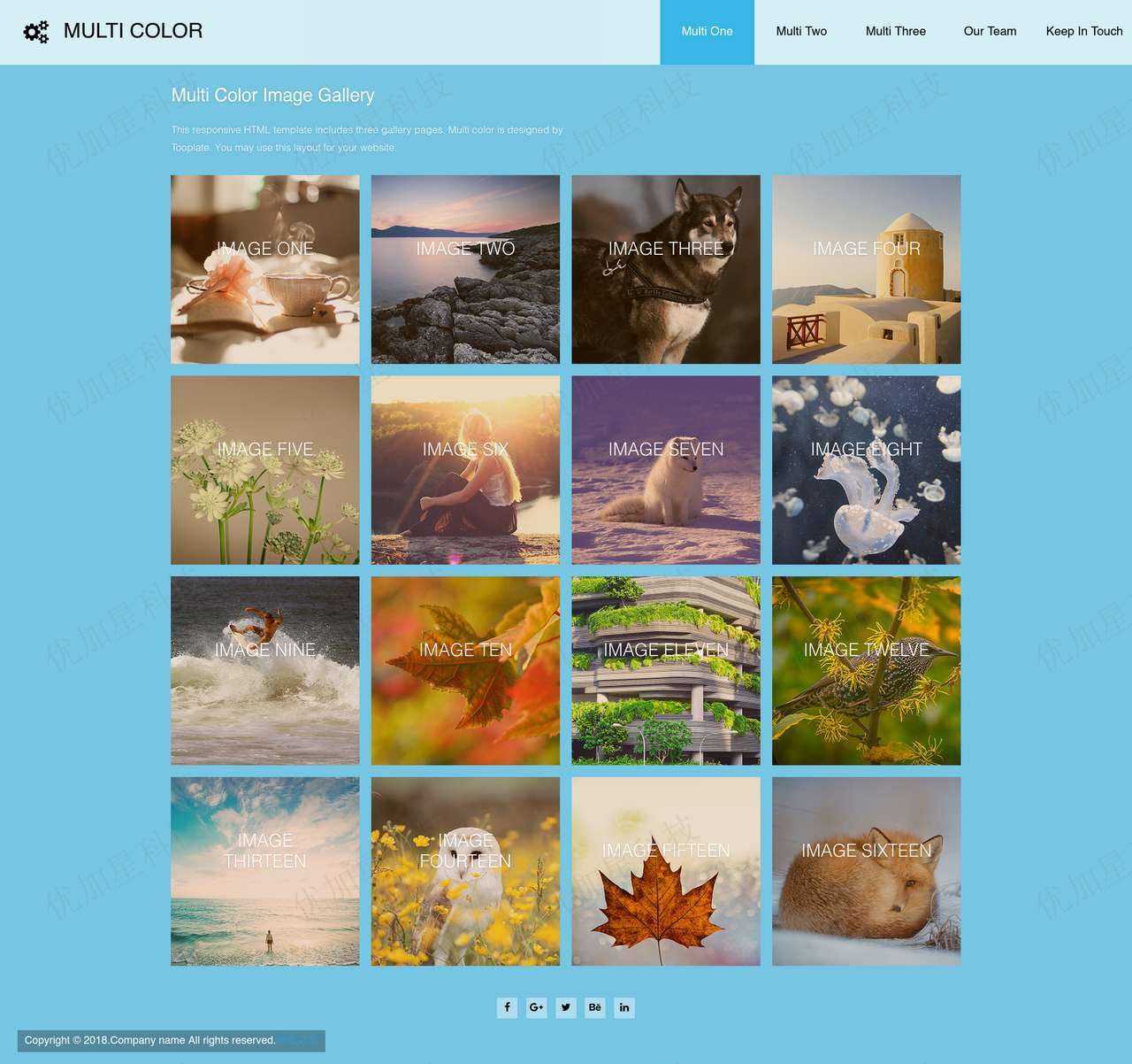 简洁画廊摄影图库类网站模板下载_优加星网络科技