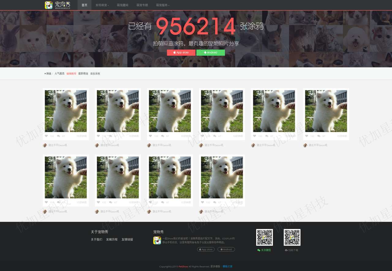 HTML5宠物社区分享网站响应式模板下载_优加星网络科技