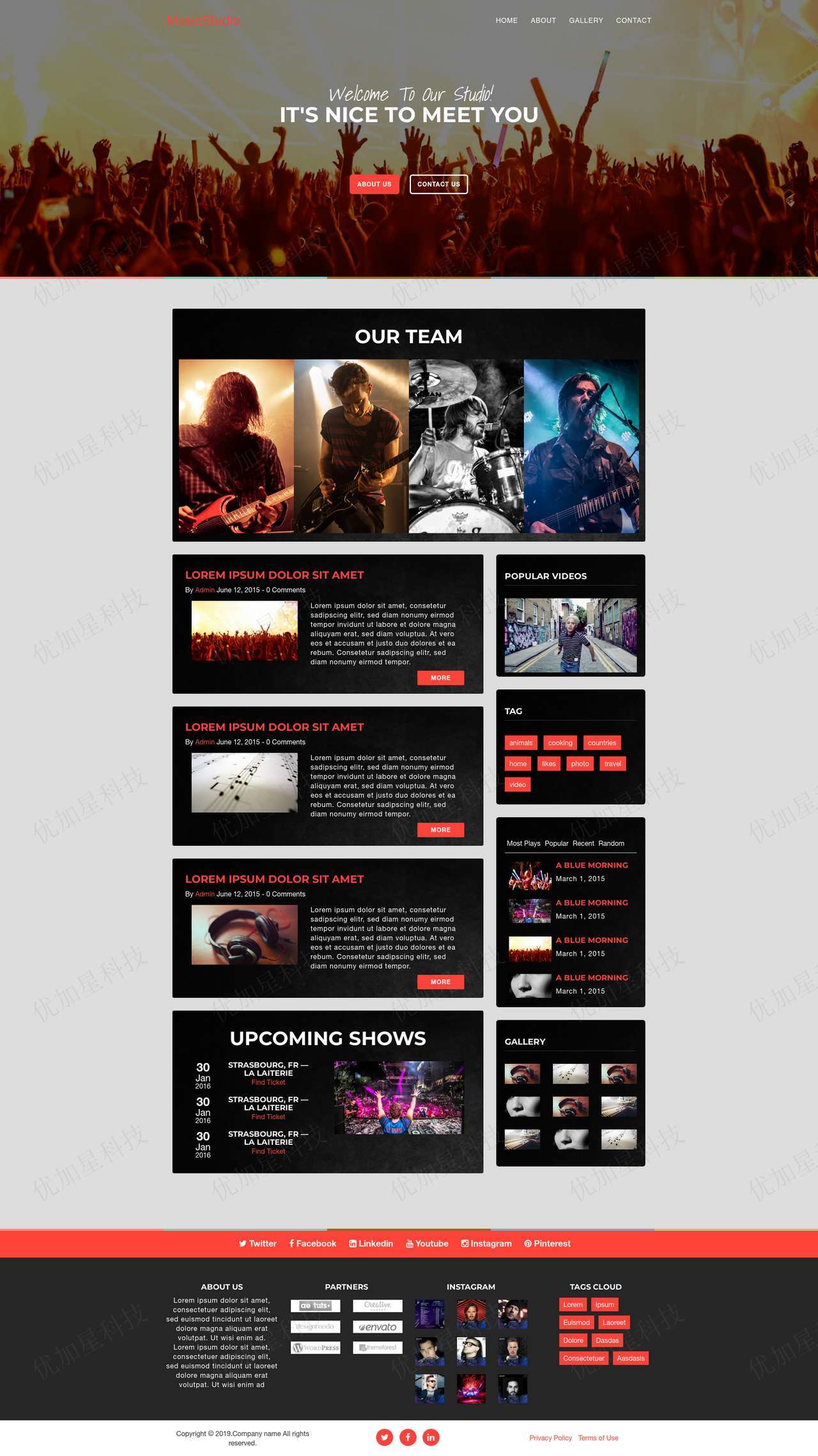 演唱会音乐文化传媒公司网站静态模板_优加星网络科技