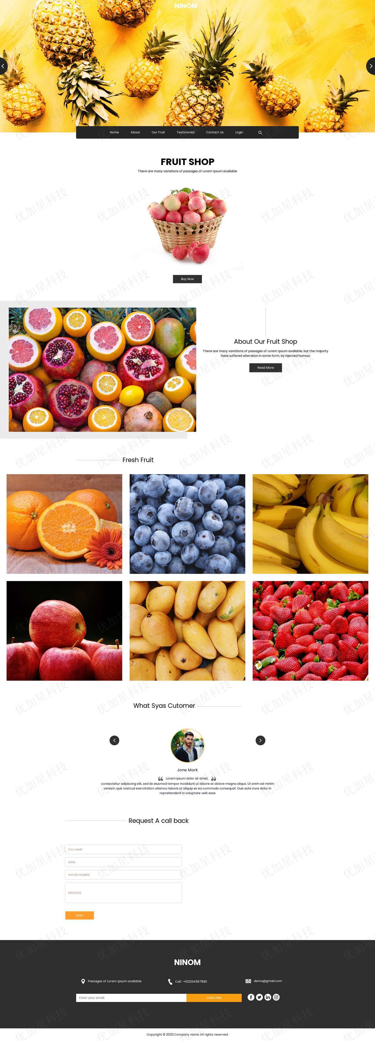 简约水果网上超市响应式网站html模板_优加星网络科技