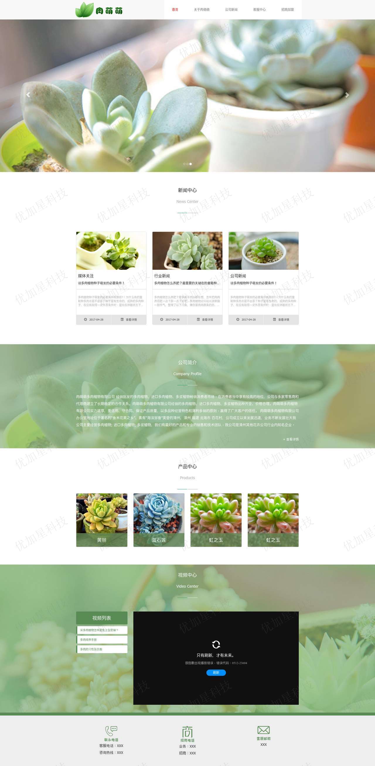 绿色多肉盆栽植物养殖网站模板下载_优加星网络科技