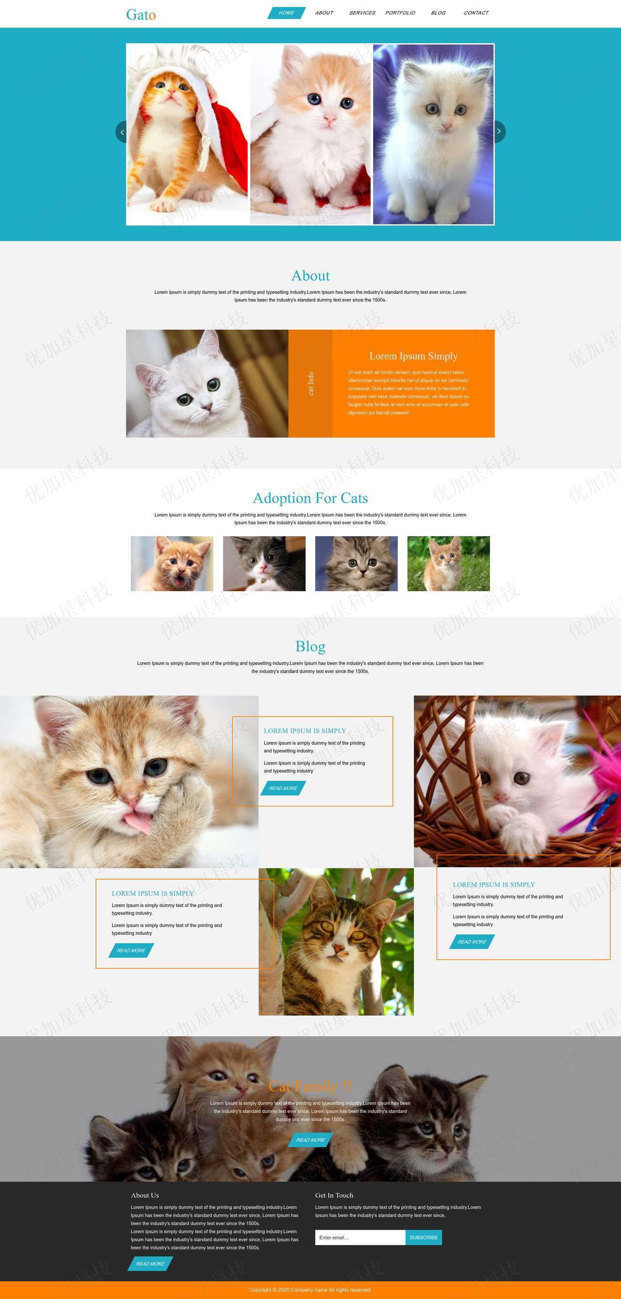 蓝色清新布局猫咪宠物社区展示网站模板_优加星网络科技