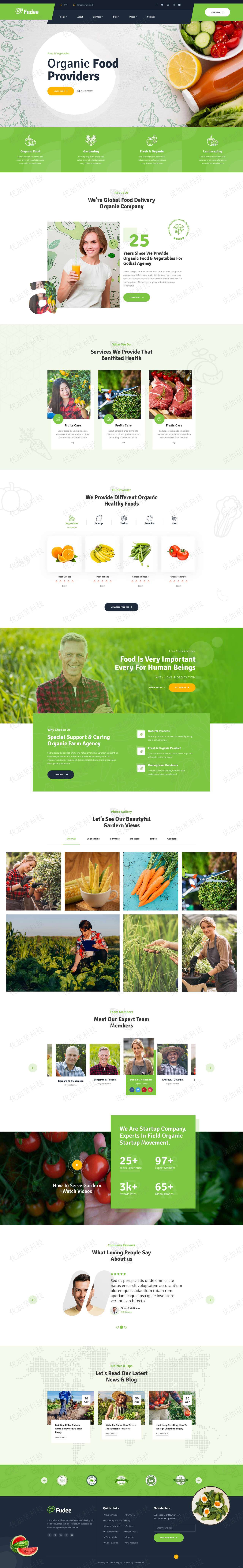 清新创意绿色有机食品供应商网站模板_优加星网络科技