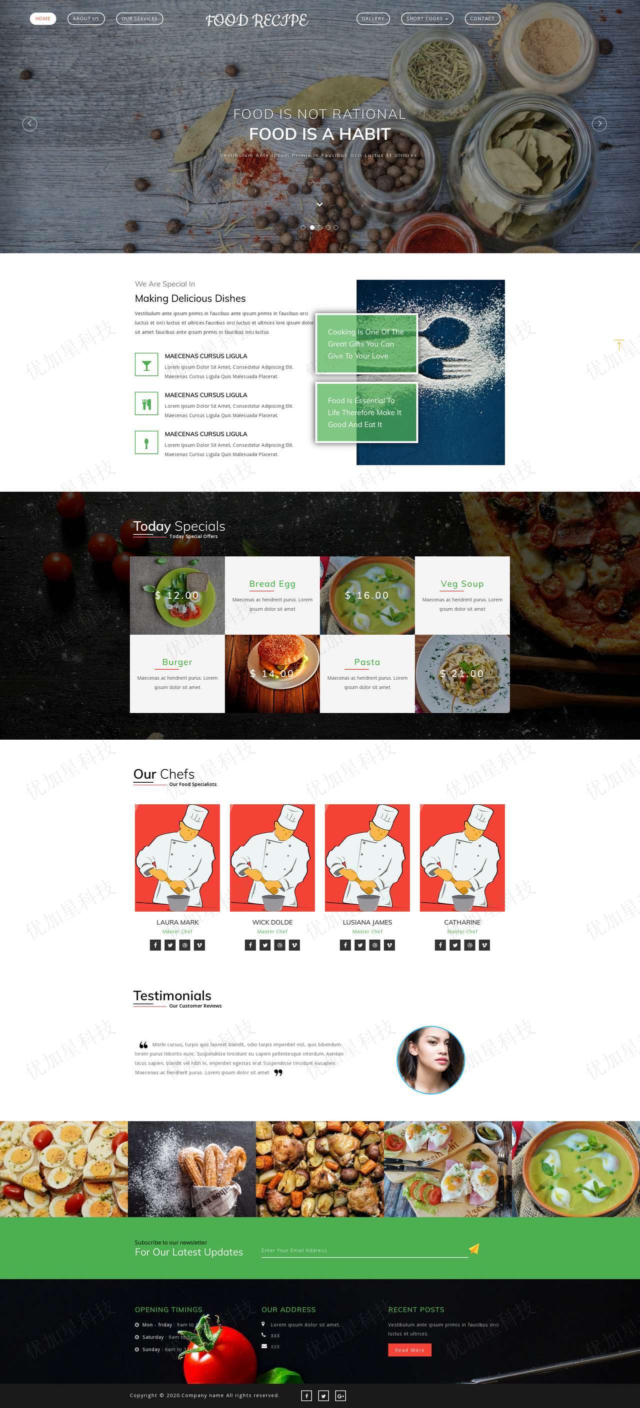 创意大气响应式美食餐饮行业网站模板_优加星网络科技