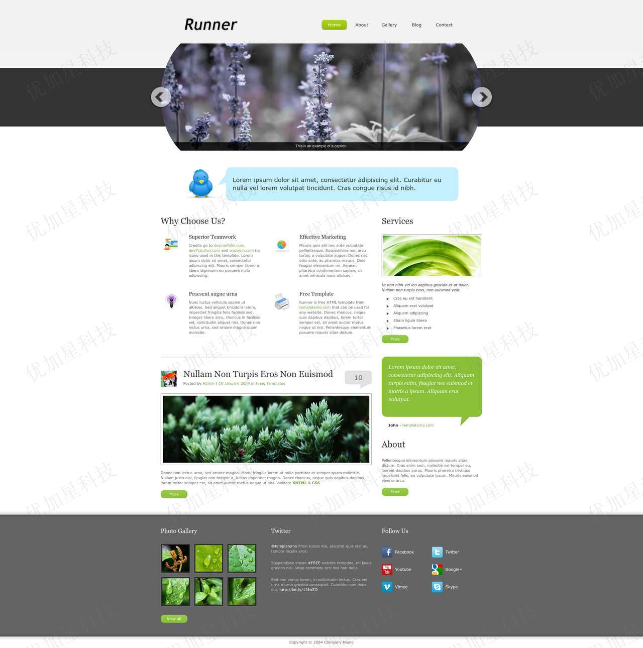 清新自然创意图文排版企业个人风采展示网站模板_优加星网络科技