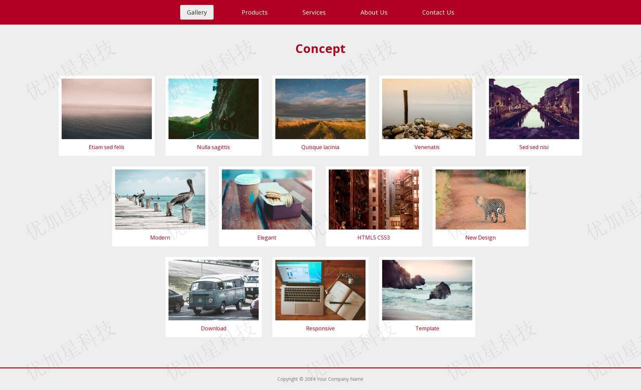 创意照片墙图文排版企业概念商业服务网站模板_优加星网络科技