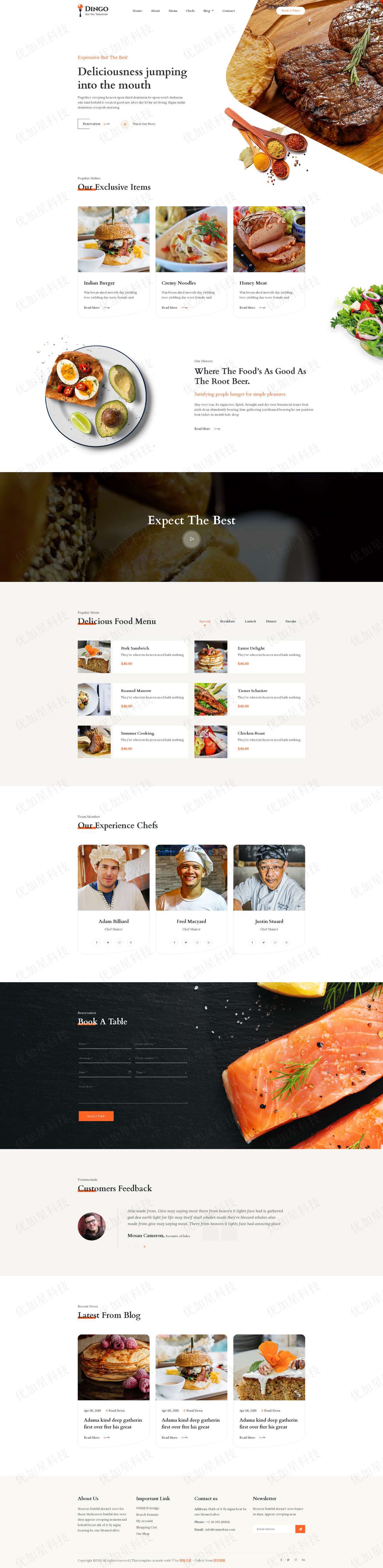 dingo简约特色印度牛排菜系餐厅主题网站响应式模板_优加星网络科技