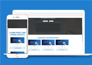 简洁蓝色商业APP展示网站模板下载