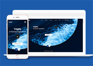 蓝色全屏HTML5飞机航班预定网站模板