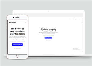 简约宽屏响应式应用程序官网网站静态模板