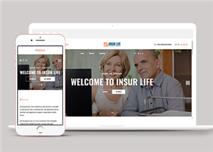 宽屏响应式保险服务公司网页静态模板