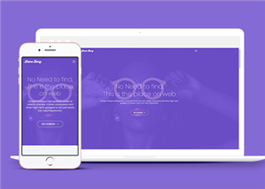 紫色精美大气全屏响应式企业网站模板