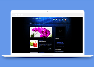 蓝色大理石风格竖版图文排版企业团队宣传介绍网站模板